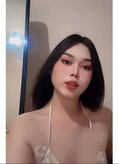 Mariam Al Treef - Acompañantes transexual in Al Sohar Photo 1 of 3