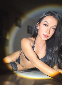 Mariam bottom - Transsexual escort in Bali Photo 11 of 13