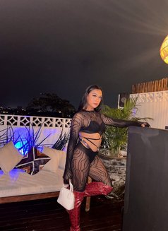 Mariam bottom - Transsexual escort in Bali Photo 8 of 13