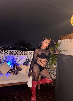 Mariam bottom - Transsexual escort in Bali Photo 9 of 13