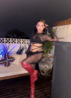 Mariam bottom - Transsexual escort in Bali Photo 12 of 13