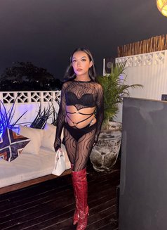 Mariam bottom - Transsexual escort in Bali Photo 13 of 13