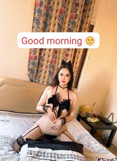 Mariam new ladyboy - Transsexual escort in Khobar Photo 2 of 4