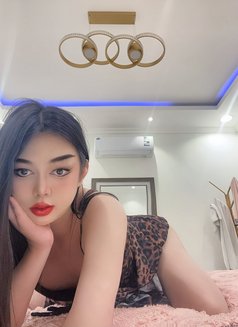 VVIP 🇸🇦Mariam new ladyboy🇹🇭 - Transsexual escort in Khobar Photo 2 of 4