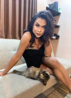 Mariam top and bottom - Transsexual escort in Bali Photo 9 of 12