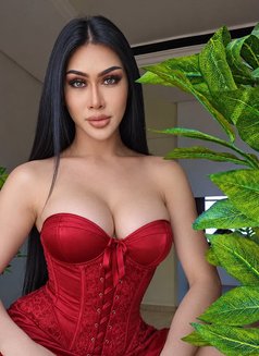 MariamTop Both Bigdick - Acompañantes transexual in Khobar Photo 11 of 11