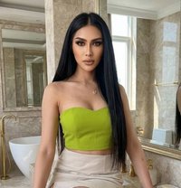 MariamTop Both Bigdick - Transsexual escort in Riyadh
