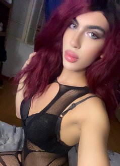 Mariana - Acompañantes transexual in Beirut Photo 2 of 6