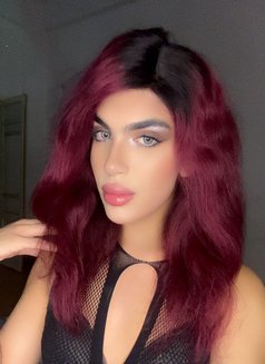 Mariana - Acompañantes transexual in Beirut Photo 3 of 6