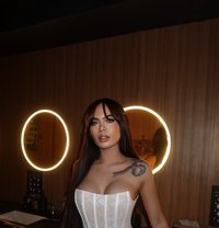 Maricarfox - Acompañantes transexual in Manila