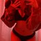 Lovely Cam, Content, Meet - escort in Manila