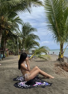 Sophie MEET' CAM' CONTENTS HD - escort in Manila Photo 19 of 19