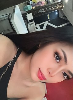 Marie - Transsexual escort in Kuala Lumpur Photo 1 of 17