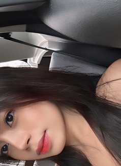 Marie - Transsexual escort in Kuala Lumpur Photo 17 of 17