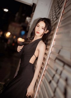 Marin - Transsexual escort in Chiang Mai Photo 12 of 13