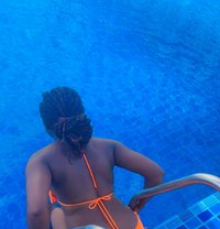 Mario - escort in Pattaya
