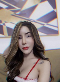 Marisa Thailand Ladyboy - Acompañantes transexual in Jeddah Photo 6 of 9