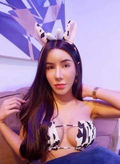 Marisa Thailand Ladyboy - Acompañantes transexual in Jeddah Photo 9 of 9