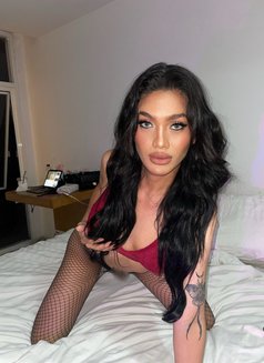 Marishka_BigStrongCock - Transsexual escort in Bangkok Photo 11 of 13