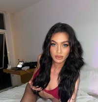 Marishka_BigStrongCock - Transsexual escort in Bangkok Photo 11 of 13