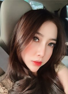 Marisya Good service - escort in Singapore Photo 4 of 17