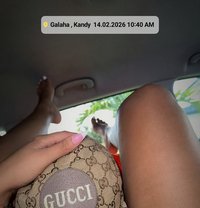 Mark the Boy Next Door - Male escort in Kandy