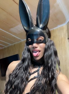 Maro 21 cm 🌶🥵 - Acompañantes transexual in Beirut Photo 29 of 30