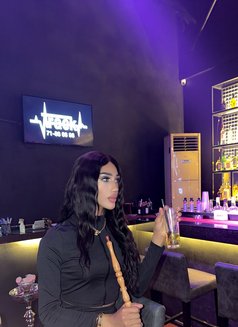 Maro 21 cm 🌶🥵 - Transsexual escort in Beirut Photo 27 of 28