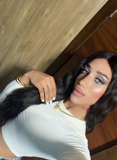 Maro 21 cm 🌶🥵 - Acompañantes transexual in Beirut Photo 29 of 30