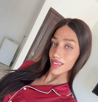 Maro 21 cm 🌶 - Transsexual escort in Beirut