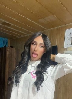 Mariya maro - Transsexual escort in Beirut Photo 5 of 6