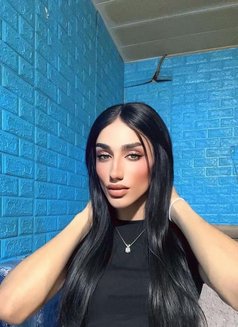 Maro 🫦 - Transsexual escort in Beirut Photo 8 of 10