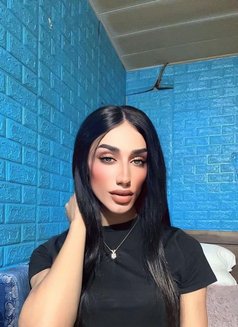 Maro 🫦 - Transsexual escort in Beirut Photo 9 of 10