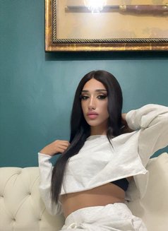 Maro 🫦 - Transsexual escort in Beirut Photo 8 of 12