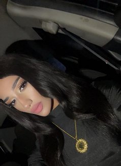 Maro 🫦 - Transsexual escort in Beirut Photo 12 of 12