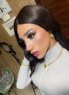 Maro 🫦 - Acompañantes transexual in Beirut Photo 14 of 14