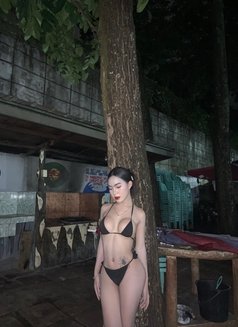 Martahotty - Transsexual escort in Manila Photo 2 of 2