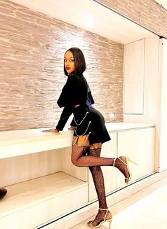 Marvellous - Acompañantes transexual in Nairobi Photo 1 of 8