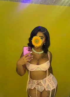 Mary - puta in Barbados Photo 1 of 2