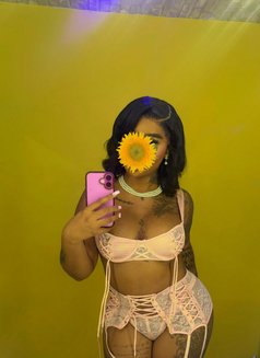 Mary - puta in Barbados Photo 2 of 2