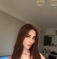NARGİS TRANS - escort in Tirana