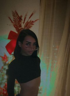 MARYLIN - Acompañantes transexual in Barcelona Photo 17 of 19