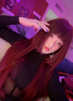 Slim white full service - Male escort in Dubai Photo 12 of 15