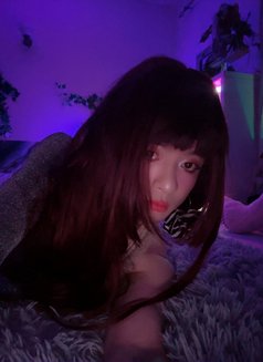 Slim white full service - Male escort in Dubai Photo 13 of 15