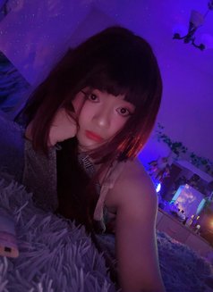 Slim white full service - Male escort in Dubai Photo 14 of 15