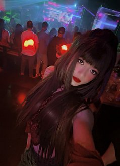 Slim white full service - Male escort in Dubai Photo 15 of 15