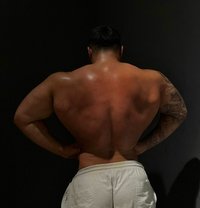 Masculin Istanbul - Acompañantes masculino in İstanbul