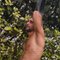 Masculine - Male escort in Dubai