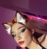 Masha - Transsexual escort in Beirut