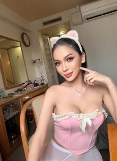 TS MASHA 7. 8 - Transsexual escort in Al Manama Photo 16 of 18